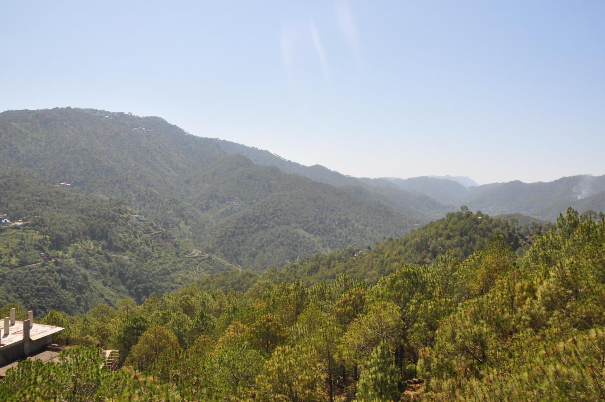 Pine Maderas By Embrace Apartment Kasauli Luaran gambar
